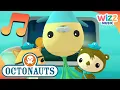 Lagu Sing Along with the Octonauts | Songs for Kids | Octonauts | Wizz Music