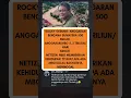 Lagu #foryou #beritaterkini #rockygerung #mbg #sumaterautara #banjirbandang #prabowo #masukberanda #short