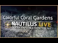 Colorful Coral Gardens of Micronesia Nautilus Live