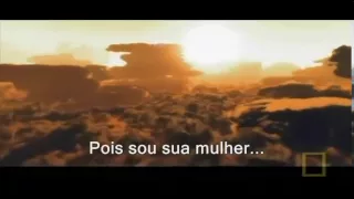 im your lady celine dion legendado sapin jannis wmv