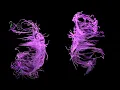 Filaments In Motion - Multi Color - 11 Hours - OLED Safe - No Burn-in