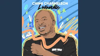 yakala inkomo feat mr shane sa u0026 bee bar 