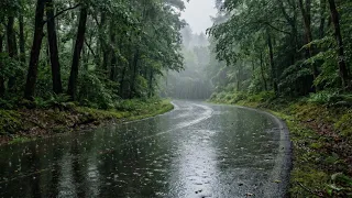 Rain Sounds for Sleeping π§οΈ | Relaxing Forest Rain Ambience | Deep Sleep & Relax