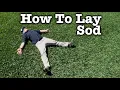 Scotts Viridian St Augustine Grass How To Lay Sod and After Care - What to Put on New Sod