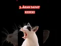 Download Lagu Kenapa Kucing Mendekati Kita? Arti Kucing Mendekati Kita, #matakucing #kucinglucu #shorts