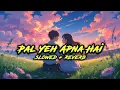 Download Lagu Pal Yeh Apna Hai  | Slowed + Reverb | BEST INSTAGRAM TRENDING SONG | #song  #lofihiphop #lofi