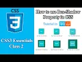 CSS3 Tutorial For Beginners in - How To Use Box-Shadow Property in CSS Tutorial