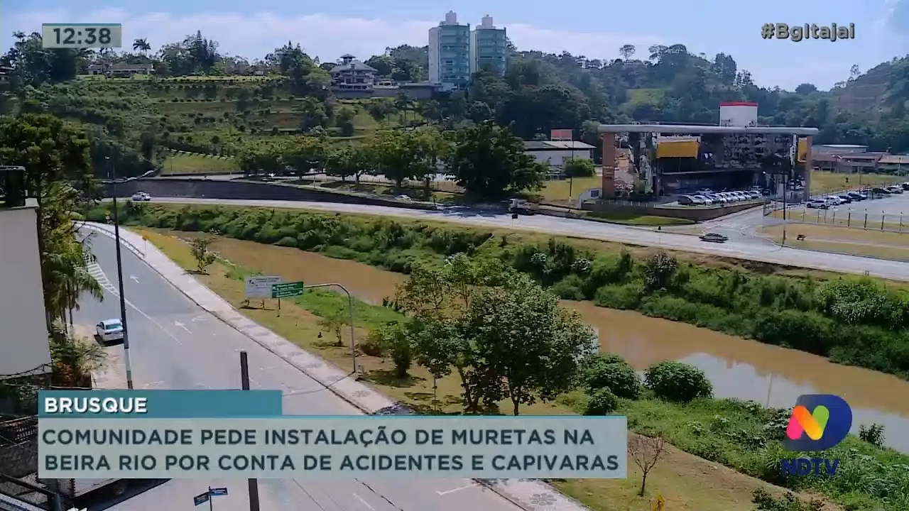 Moradores pedem instalação de muretas na Beira Rio por conta dos acidentes e capivaras