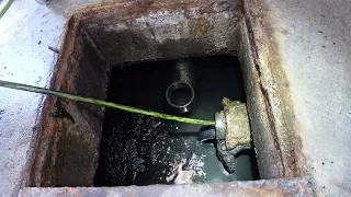 We found OIL
