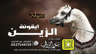 ايقونة الزين   كلمات واداء بندر الذرفي حصريا  دندنها