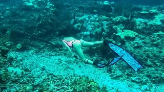 Ep.227 Mermaid in Action 🧜‍♀️💦🐚