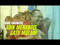 Download Lagu ADIK MENANGIS 1 MALAM...//ROMO AMANCHE