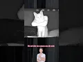 Download Lagu Chú mèo gây ảo giác đáng sợ qua camera cho cô chủ