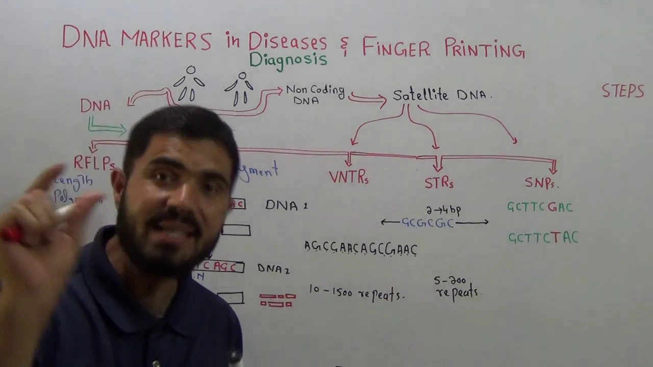 L-5 DNA finger printing|| DNA Markers||Satellite DNA Advance level explanation