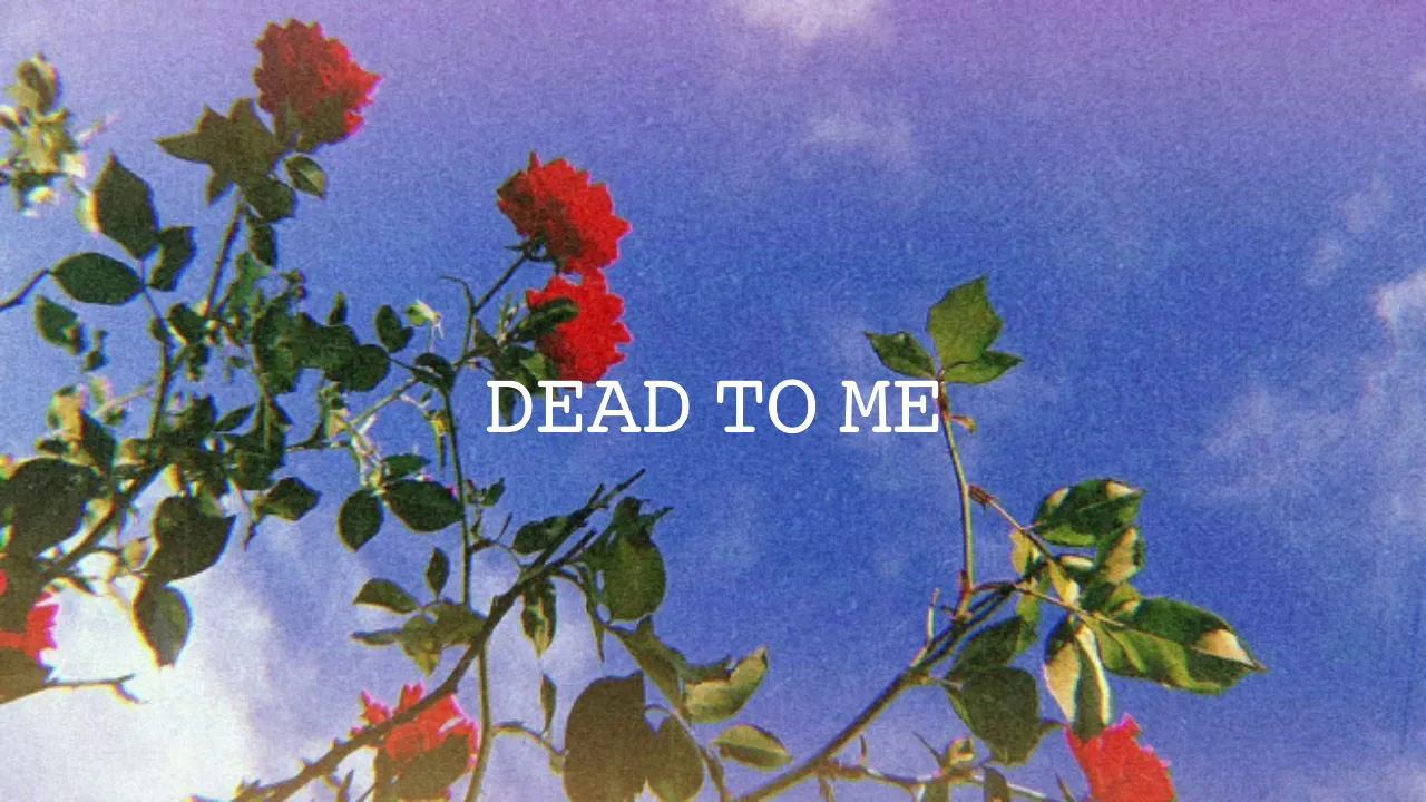 Dead To Me - Kali Uchis (lyrics)