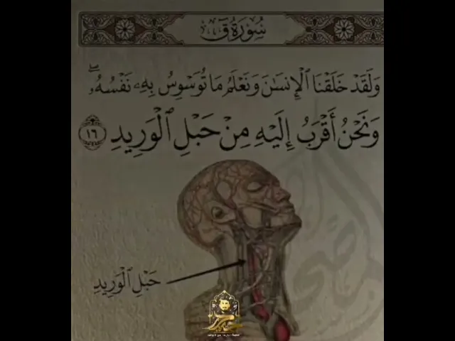 ⁣ونحن أقرب إليه من حبل الوريد || القارئ حيدر محسن البزوني