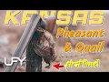 My First Bobwhite Quail Ever Kansas Quail and Pheasant Hunting