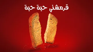Garameesh Rusk Healthy Snack Hubba Hubba TVC 