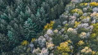 سورة الفاتحة مكررة بصوت الشيخ محمود على البنا 