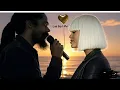 Download Lagu Damian Marley - Before you say goodbye ( music lyrics) ft Sia