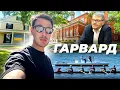 Download Lagu Як живуть і вчаться у найелітніших вишах світу? ГАРВАРД і чому він такий важливий для США.