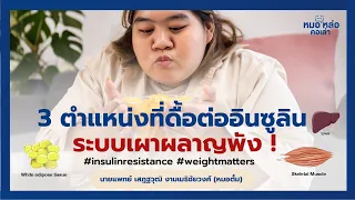 ทำไมเซลล์ไขมันที่ดื้อต่ออินซูลินจึงทำให้ระดับไขมันในเลือดสูงขึ้น