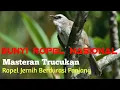 Download Lagu Ropel Jernih Durasi Panjang || Masteran Trucukan Ropel Paling Disukai Juri Nasional