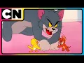 Download Lagu Tom and Jerry 🐭🐈| Watch Non-Stop Chaos 😍| Cartoon Animation Video 😆| @cnindia