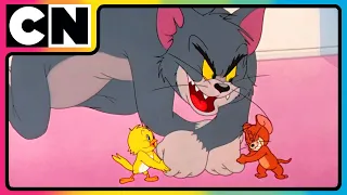 Tom And Jerry Watch Non Stop Chaos Cartoon Animation Video Cnindia 