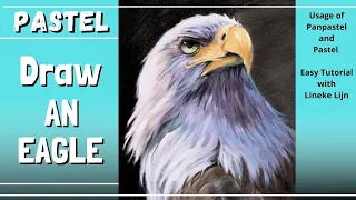 how to draw an eagle in pastel and panpastel