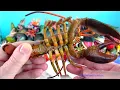 Sea Animals - Ocean Predators vs Prey 16+