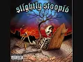Slightly Stoopid - Closer To The Sun - 08 - This Joint
