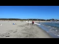 Surfers