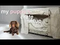 Setting Up My Puppy s New Crate