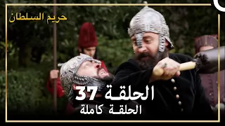 حريم السلطان الحلقة 37 مدبلج 