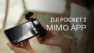 DJI Pocket 2 | How to use MIMO APP with DJI Pocket 2