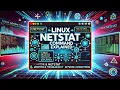 Linux netstat Command Explained Monitor Troubleshoot Network Connections