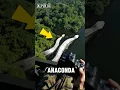 Download Lagu have you ever seen a white anaconda⁉️
