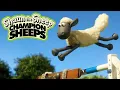 Download Lagu Steeplechase 🏃 Championsheeps 🐑 Shaun the Sheep #sport #ShaunTheSheep