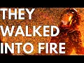 Laval Maze of Illex 1 - Stellaris Lore Stories