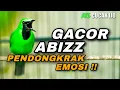 Download Lagu CUCAK IJO GACOR PENDONGKRAK EMOSI AUTO NYAUT COCOK BUAT IJO BAHAN YANG MASIH BISU DAN SUSAH BUNYI