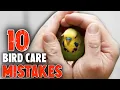 10 Common Mistakes Bird Owners Make
