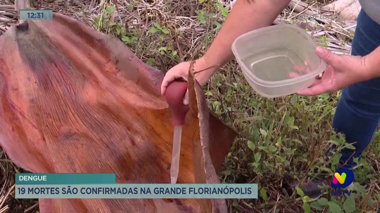 Número de mortes causadas pela Dengue aumenta para 19 em Florianópolis
