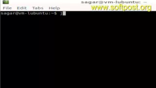 How to view java version in Bash