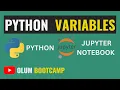 Python Variables Python Tutorials for Beginners