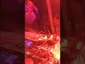 DJ chicken nugget on nobody.