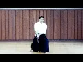 Aikido Toho Iai with Shoji Nishio Shihan