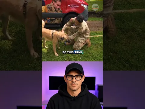 The Soldier Who Brought His War Zone Rescue Dog Home #shorts