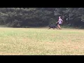 Raul on the move