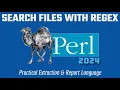 Perl Programming Tutorial Regex Search Match Files 2024